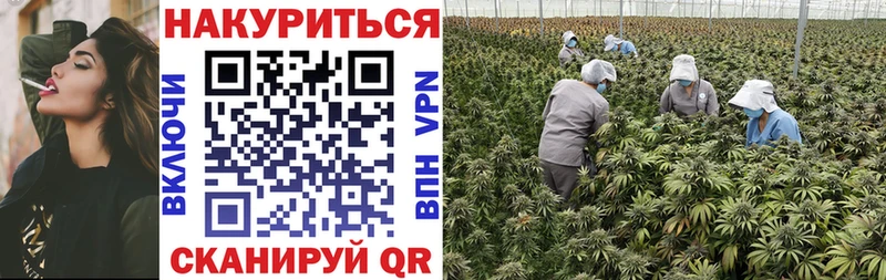 Конопля ГИДРОПОН  Александровск 